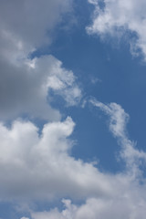 Obraz premium 青空と雲「空想・雲のモンスターたち(あっちやこっちのモンスターの巣で、餌を待つモンスターの子供たち）」営巣コロニー、各々が子育て奮闘中、子育て、育児、ファミリー、などのイメージ