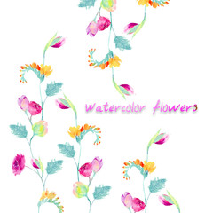 Watercolor flowers
