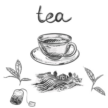 Hand drawn gray scale vector set of tea cup, leaf, farm. sketch. Vector eps 8.