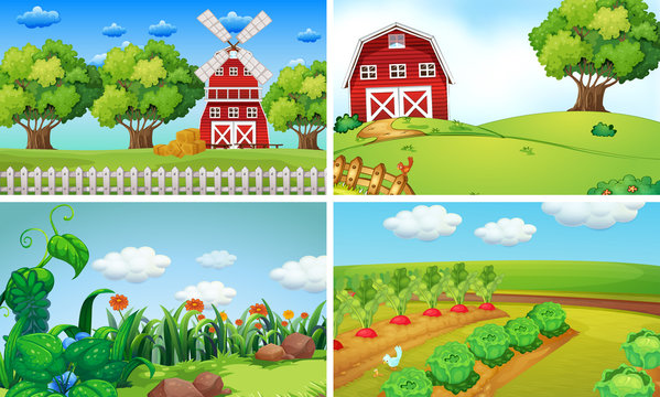 Background scenes with vegetables on the farm