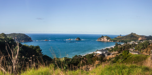Coromandel Peninsula, New Zealand.