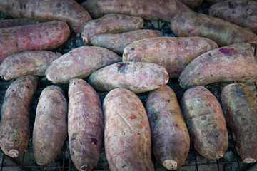Fresh sweet potato with root at farmer market 