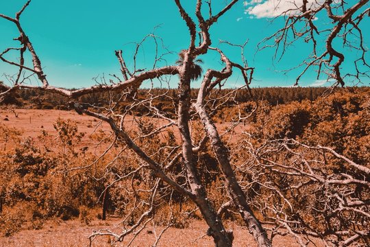 Processed with VSCO with j4 preset