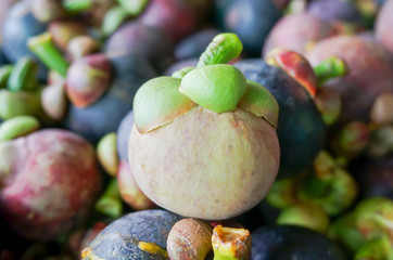 Unripe Mangosteen , selective focus
