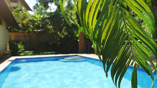 Palm leaf in front of the swimming pool on a tropical resort in slow motion. 1920x1080