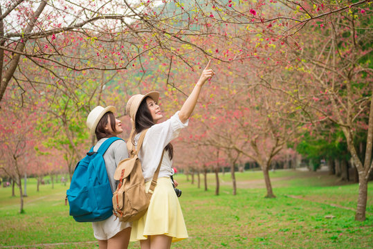 young female backpackers visiting famous cherry tree park in japan and pointing beautiful sakura flowers to sharing enjoying the scenery with girlfriend in trip.