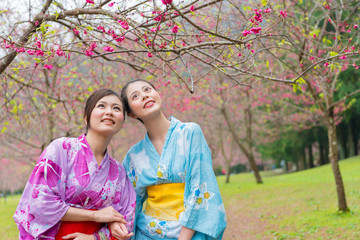 beauty elegant female travelers looking at sakura