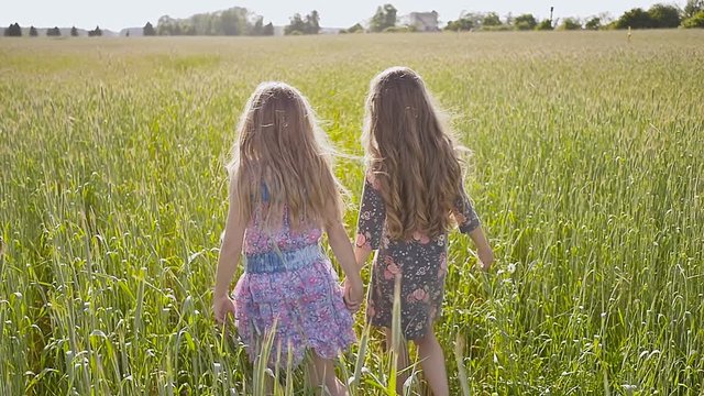 Two sisters with long curly hair walking around the field with wheat on a warm sunny day
