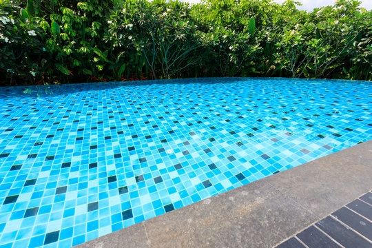 blue swimming pool around with green nature garden