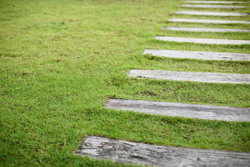 concrete pathway pavement step on green grass front yard garden