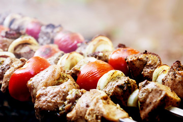 Fresh tasty barbecue with tomatoes and onions in brazier. Outdoor, closeup, selective focus