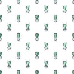 Cactoideae cactus pattern seamless