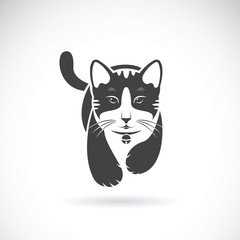 Vector of a cat on white background. Pet Animal.