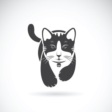 Vector of a cat on white background. Pet Animal.
