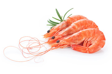 Fresh cooked shrimp isolated on white background.