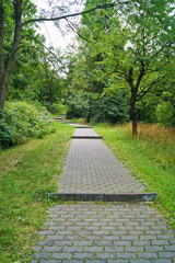 path in green