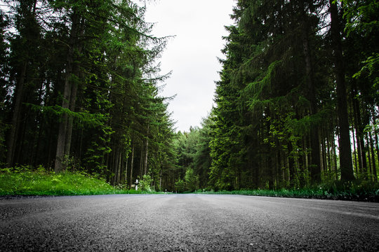 Von Wald umringte asphalt Stra&szlig;e, mittig aus der Froschperspektive