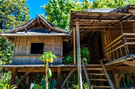 Maison en bambou.