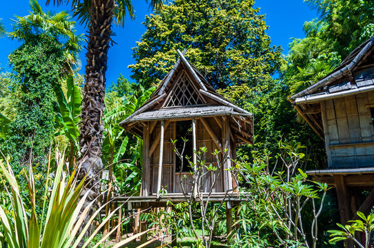 Maison en bambou.