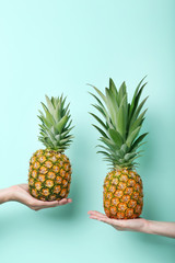 Female hands holding ripe pineapples on mint background