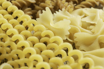 Close of uncooked macaroni
