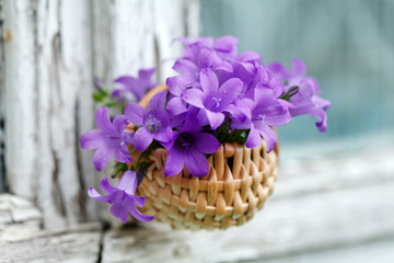 nice flowers in the basket