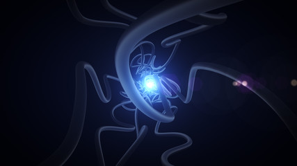 Neurons and nervous system.