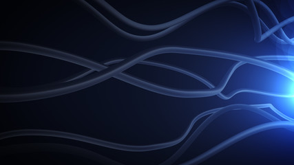 Neurons and nervous system.