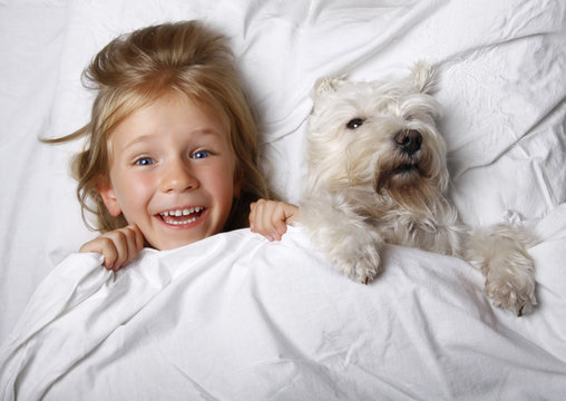 beautiful blonde little girl laughing and lying with white schnauzer puppy dog on white bed. Friendship concept. - Powered by Adobe