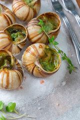 Baked snails with garlic butter and fresh herbs