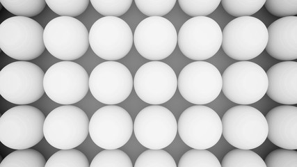 Rows of Eggs