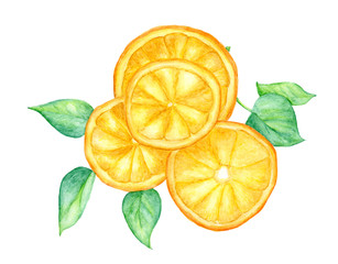 Slice of orange fruit and green leaves isolated on white background , with clipping path, Hand drawn watercolor illustration