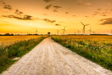 Fototapeta na wymiar Road and field in the windmill farm at sunset, field with agricultural crop, country landscape, Poland