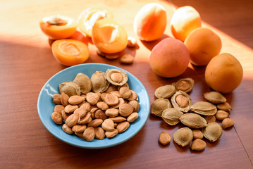 Apricot almond kernel seed