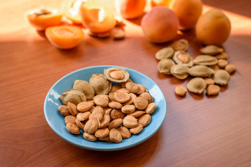 Apricot almond kernel seed