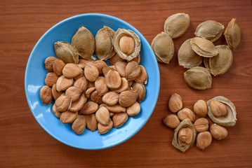 Apricot almond kernel seed
