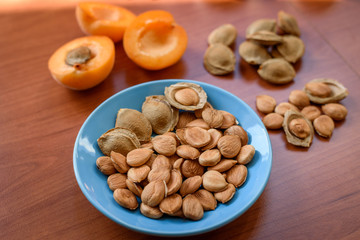 Apricot almond kernel seed