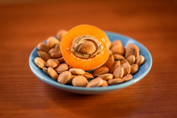 Apricot almond kernel seed