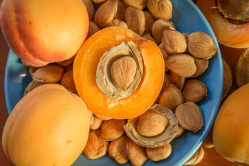 Apricot almond kernel seed