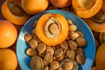 Apricot almond kernel seed
