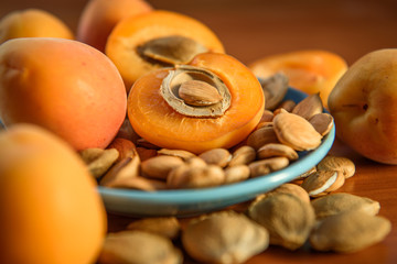 Apricot almond kernel seed