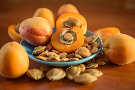 Apricot almond kernel seed