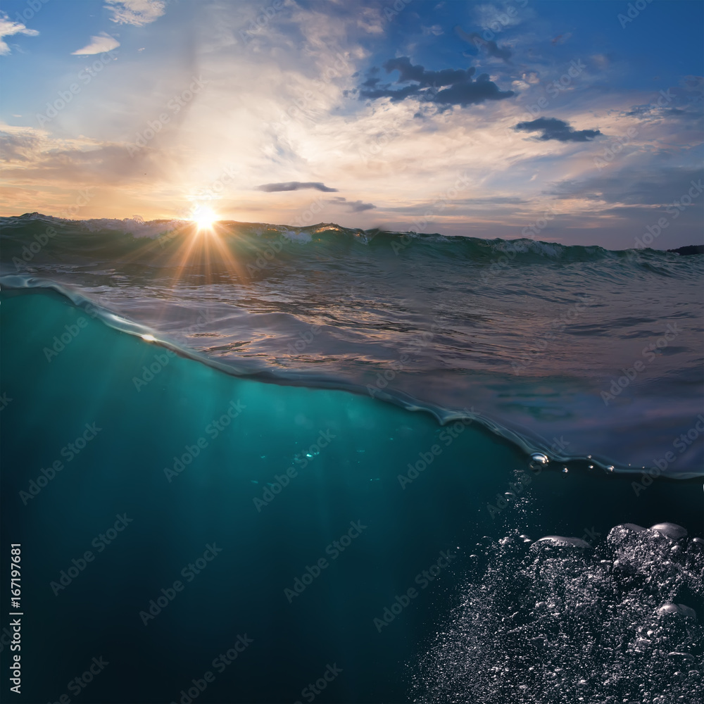 Canvas Prints ocean view design template with underwater part and sunset skylight