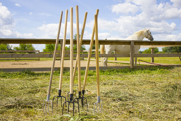 Fototapeta premium A pitchfork on a field on the farm, on a white horse