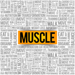 Muscle word cloud background, health concept