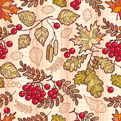 Seamless pattern. Autumn Deciduous ornament. 