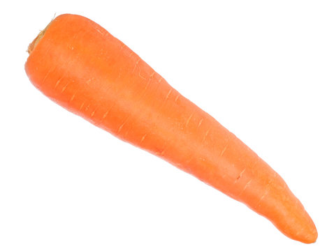 bright orange carrot on white