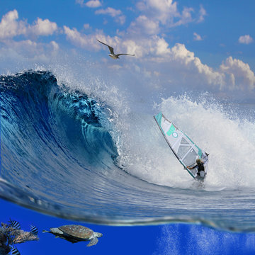 Separated image with waterline. Oceanview with breaking surfing wave and professional windsurfer on a board under sail and sealife with fish and tortoise swimming over coral reef