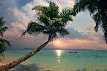 Fototapeta na wymiar sunset on beautiful tropical beach with palms and boat on water