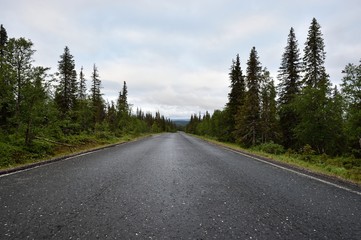 Fototapeta na wymiar Road in Lapland, Pallastunturi, Taivaskero